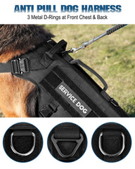 Tres anillas en D PETNANNY para diversas correas