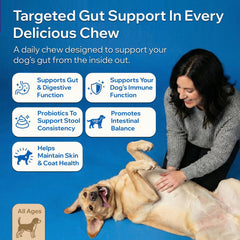 PetOptimum Probiotics para perros: botella de suplemento para uso diario.
