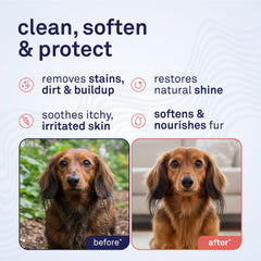 Petpost champú argán con aloe, cuidado de piel seca y pelaje sedoso.