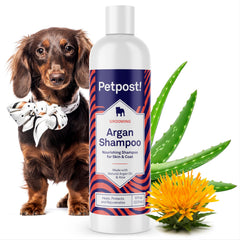Petpost champú argán para perros, botella visible, piel suave y pelaje brillante.