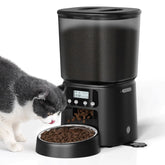 Petrice comedero automático para gatos con 4L, alimento a tiempo para tu mascota.