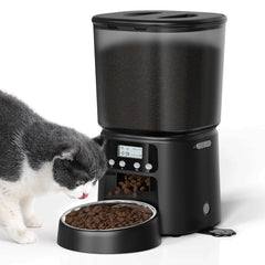 Petrice comedero automático para gatos con 4L, alimento a tiempo para tu mascota.