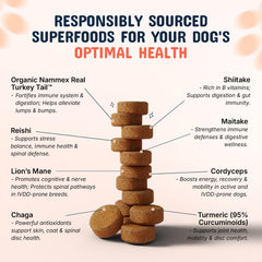 Pets Are Kids Too: textura masticable agradable para perros.