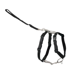 PetSafe 3-en-1 arnés con correa frontal para paseos más controlados