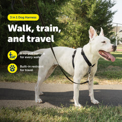 PetSafe 3-en-1 con martingala para entrenamiento suave
