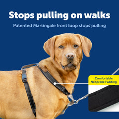 Arnés PetSafe 3 en 1 con nylon transpirable y acolchado cómodo.