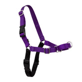 PetSafe arnés con lazo martingale frontal para paseos sin tirones.