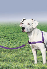 PetSafe arnés con tejido transpirable para mayor comodidad.
