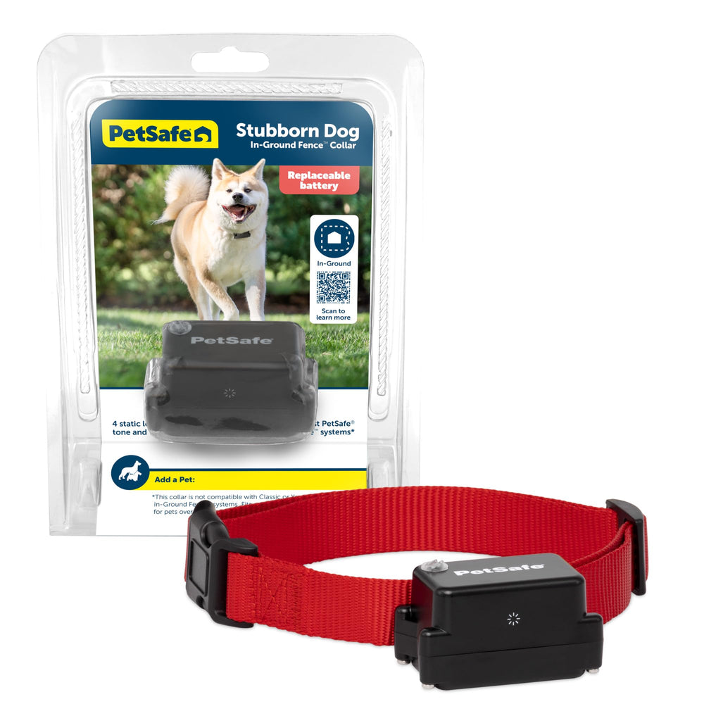 Collar receptor de PetSafe para cerca enterrada, entrenamiento seguro para perros curiosos
