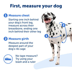 PetSafe Easy Walk banda de vientre de color distinto para ajuste rápido