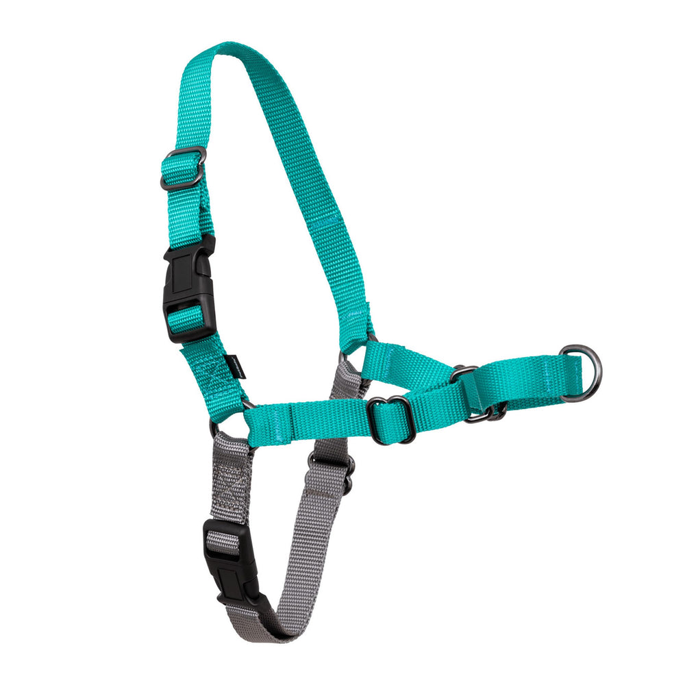 PetSafe Easy Walk con correa frontal y diseño martingala para paseos más suaves