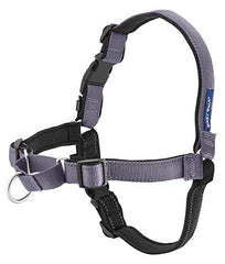 PetSafe Easy Walk Deluxe con hebilla rapida para un ajuste sencillo
