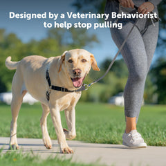 PetSafe Easy Walk diseño ligero y transpirable para mayor comodidad