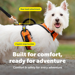 PetSafe EasySport reflectivo nocturno para mayor visibilidad en caminatas