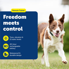 PetSafe entrenador remoto en mano con collar para entrenamiento cercano.