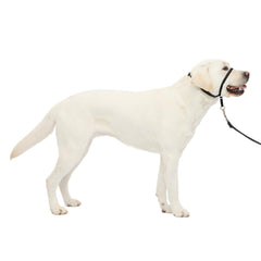PetSafe collar frontal sin tirones, detalle nariz acolchado para paseos más tranquilos.