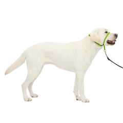 PetSafe Gentle Leader: aro-nariz-acolchado para paseos más calmados.