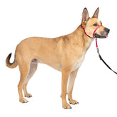 PetSafe Gentle Leader collar de cabeza para paseos tranquilos sin tirones