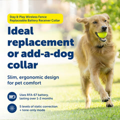 Collar receptor impermeable PetSafe Stay & Play, ideal para juegos al aire libre bajo lluvia