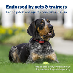 PetSafe Stay & Play: límite inalambrico para entrenamiento en jardín.