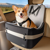 PETSFIT: asiento para coche con cinturones patentados para perros