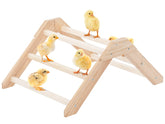 Petsfit percha para pollo con diseño antirotación, seguridad mejorada.