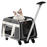 Petsfit transportín para gato con ruedas ajustables para viajar
