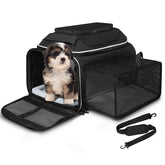Petskd transportín: vista general, transporte cómodo para mascotas durante viajes.