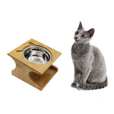 Petsoigné comedero para gatos en altura ergonómica para comer con mayor comodidad.