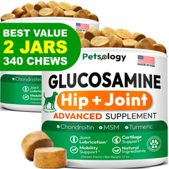 Petsology glucosamina para perros 340: bocado para movilidad diaria.