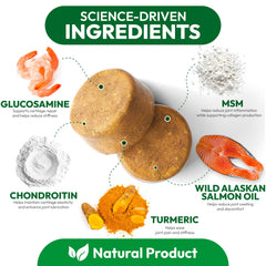 Petsology glucosamina para perros: ingredientes naturales para soporte articular.