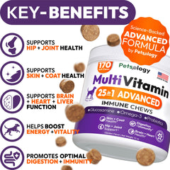 Petsology Dog Multivitamin: comprimidos de 170 piezas para apoyo diario y vitalidad.