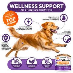 Petsology Dog Multivitamin: probióticos y antioxidantes para salud intestinal.