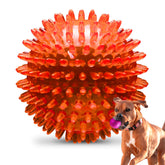 PetSport Gorilla Ball 5 pulgadas con picos para juego activo y mordidas seguras.