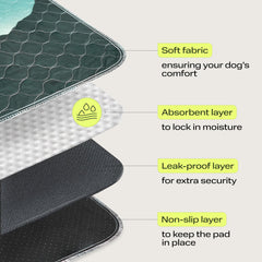 PetSpy almohadillas lavables con diseño antideslizante, ideal para sesiones de entrenamiento.