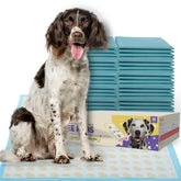 PETSWORLD tapetes de entrenamiento 36x36 para uso interior.