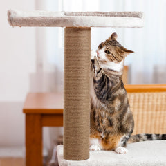 PETUOL: kit de 4 piezas para repuestos; facilita extender la vida del árbol para gatos.