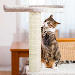 PETUOL conjunto repuesto 4 piezas para prolongar el uso del árbol gatuno