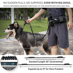 PetVenture amortiguadores de choque, absorben tirones para caminatas más suaves.
