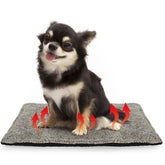 PETZOOKA cama auto-caliente para gato, vista frontal, calor constante sin electricidad