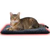 PETZOOKA cama auto-calentable para gatos con rayas grises, ideal para noches frías.