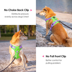 PHOEPET Cuatro correas ajustables para un ajuste seguro.