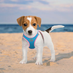 PHOEPET Arnes Ligero con Malla Suave, comodidad y respirabilidad