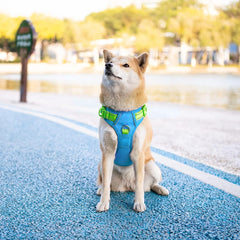 PHOEPET arnés perro malla respirante ofrece confort durante caminatas largas