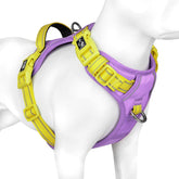 PHOEPET arnés sin tirón con hebillas rápidas para colocar fácilmente