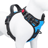 PHOEPET arnés sin tirones con asa frontal azul para paseos más controlados