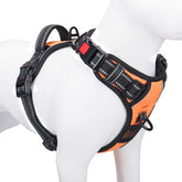 PHOEPET arnés sin tirones para perros pequeños con enganche frontal reflectante.
