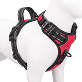 PHOEPET arnés sin tirón con clip frontal para paseos más controlados