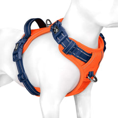 PHOEPET arnés sin tirones, vista frontal naranja con correas azules para paseos cómodos.