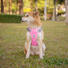 PHOEPET malla transpirable con acolchado para evitar rozaduras